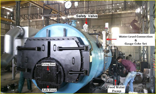 Briquette fired steam boiler in Gujarat